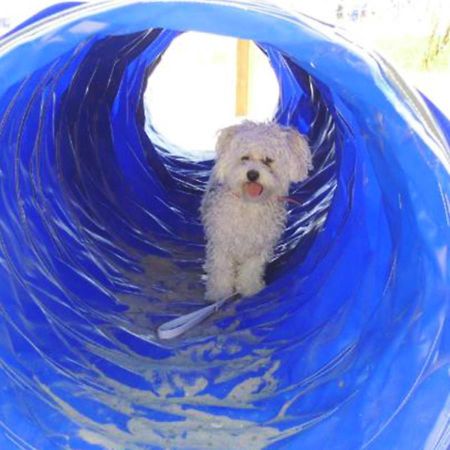 Pet Family Camping Cortina Senigallia Exterior foto